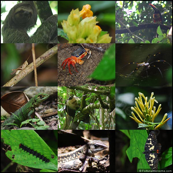 Photos of Manuel Antonio Park