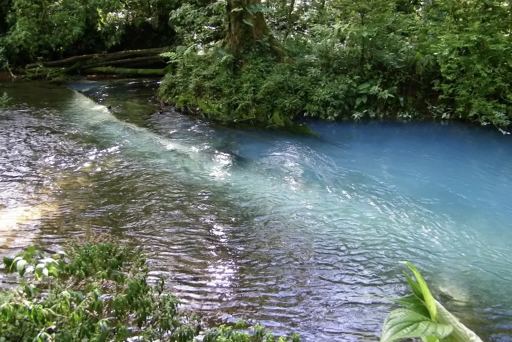 Witness the magic behind El Teñidero, where Rio Celeste takes its striking blue color!