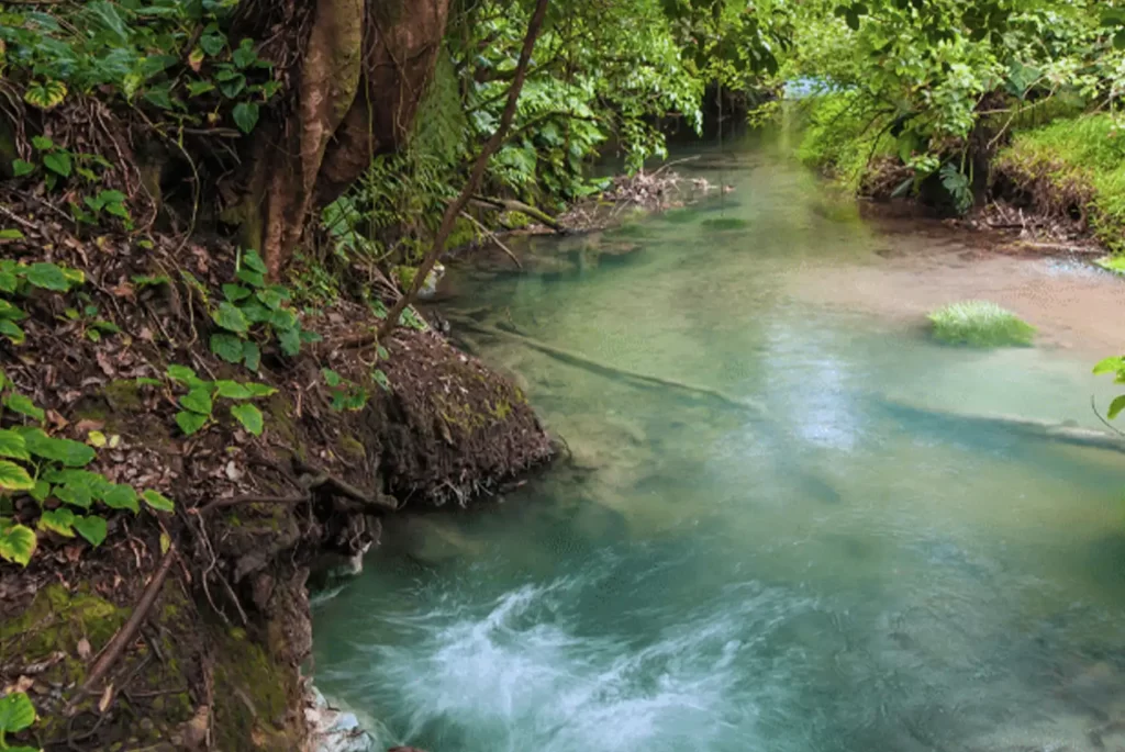 Visit Hervideros and admire Tenorio volcano's natural activity.