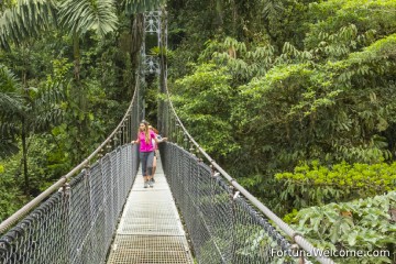 Explore Costa Rica's rainforest from a new perspective with a hanging bridges walk.