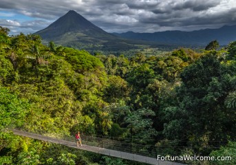 Explore the forest canopy in a fun and unforgettable way at Arenal Hanging Bridges!