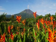 Colorful gardens