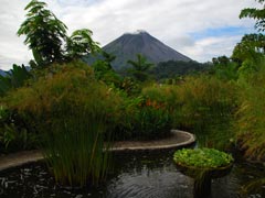 Naturaleza alrededor