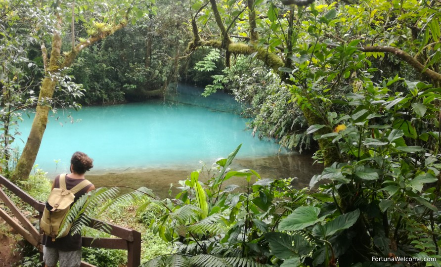 Discover why so many people enjoy visiting Rio Celeste!