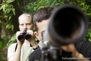Admira las diversas especies que habitan el bosque en la Catarata La Fortuna