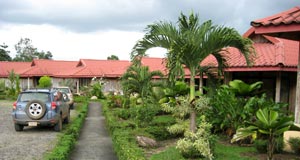 Rey Arenal