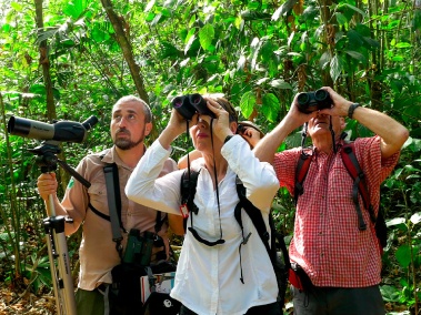 Observación de aves