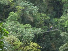 Mistiko Hanging Bridges