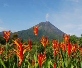 La Fortuna de San Carlos