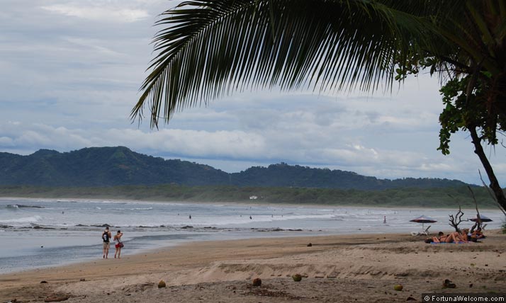 Tamarindo