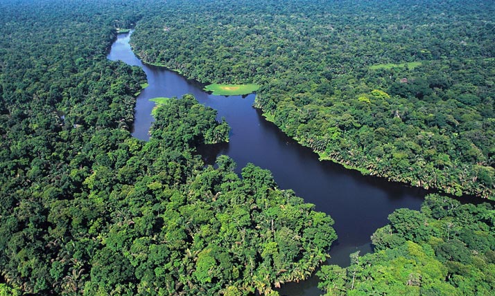 Tortuguero