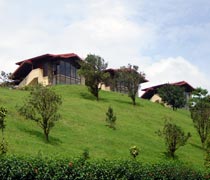 Hotel Arenal Lodge