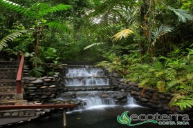 Termales naturales