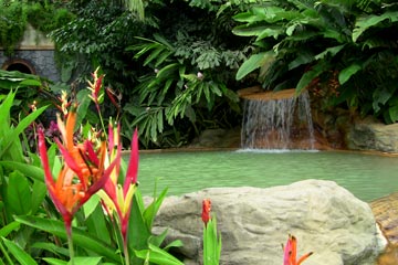 ¡The Springs Resort & Spa se encuentra entre las mejores aguas termales del Arenal!