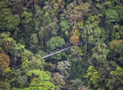 Arenal hanging bridges