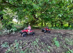 Atv in the middle of the forest