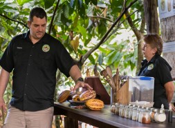 Explaining chocolate process