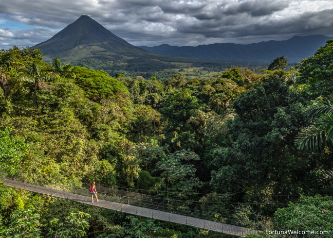 Tour a los Puentes Colgantes del Arenal