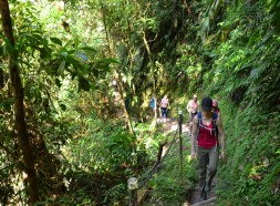 Going down to the waterfall