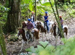 Riding in the middle of the forest