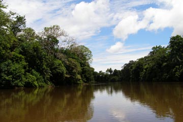 Refugio de vida silvestre Caño Negro