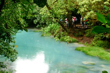 See the stunning optical illusion where the Rio Celeste River flows from the Quebrada Agria and Buena Vista rivers!