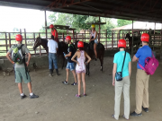 Horseback Riding to La Fortuna Waterfall, La Fortuna Costa Rica