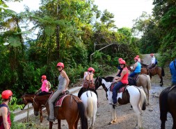 Horseback tour